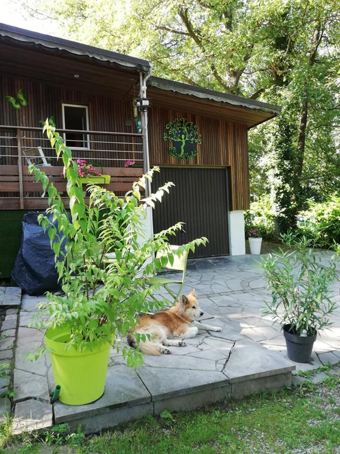 Titi'S Chalet Durbuy Exterior foto